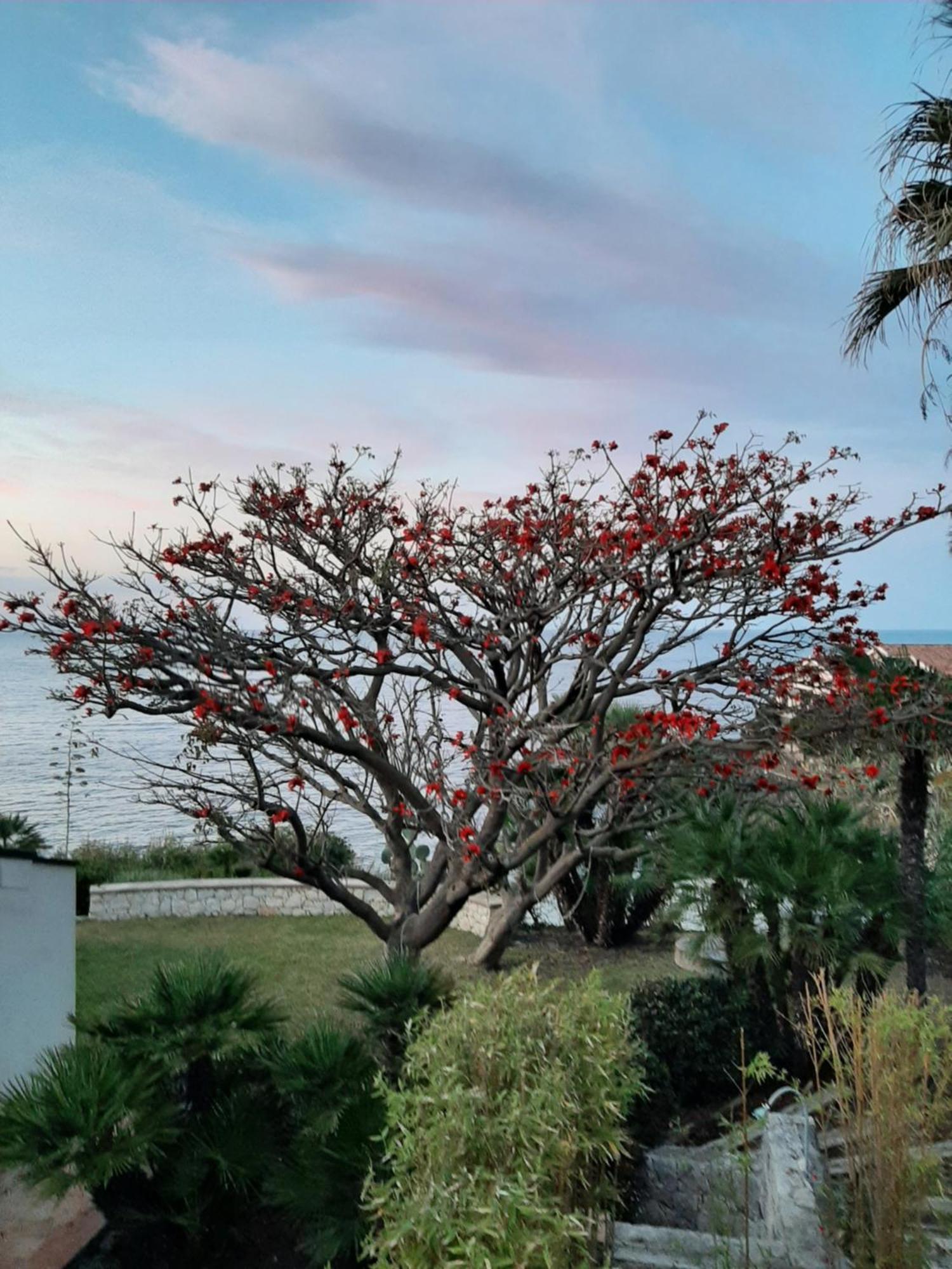 Appartamento In Villa Al Mare - Baia Di Arcile Brucoli Eksteriør billede